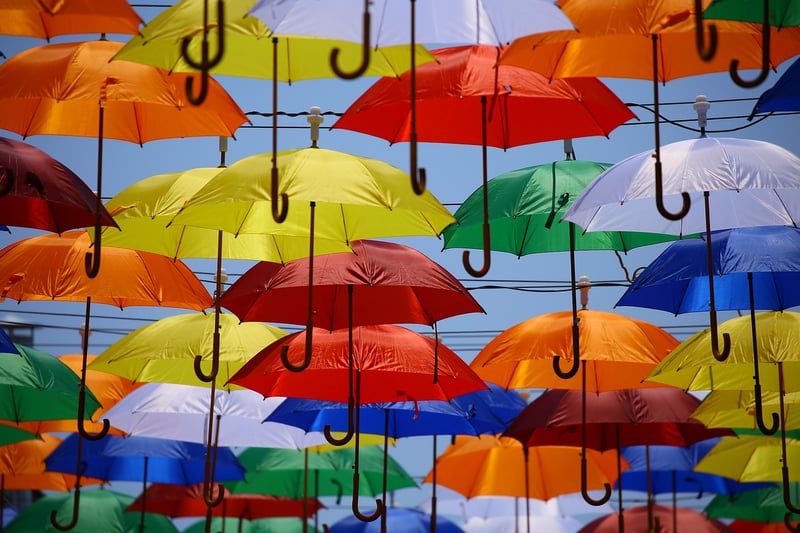 Live Art Installations